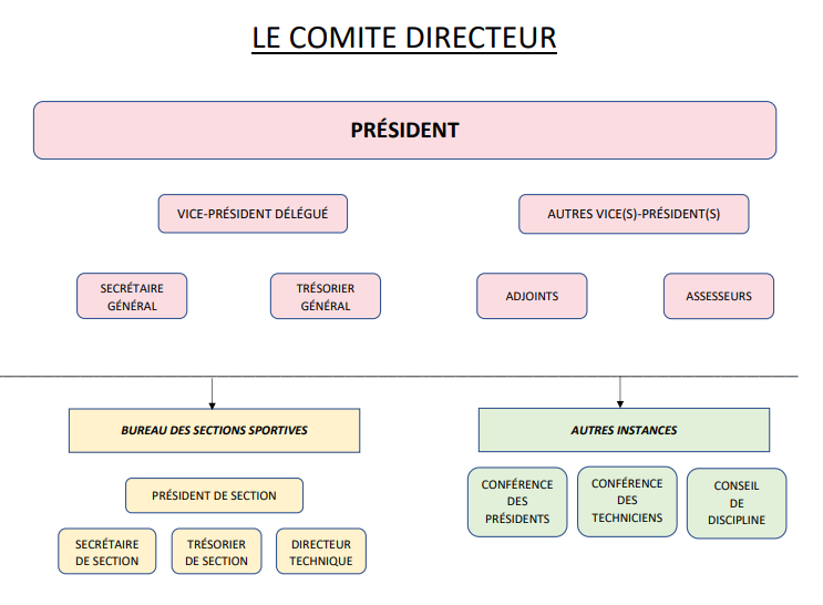 Organigramme 1